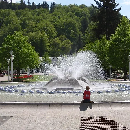 Lägenhet Topapartmany Lesni Mariánské Lázně